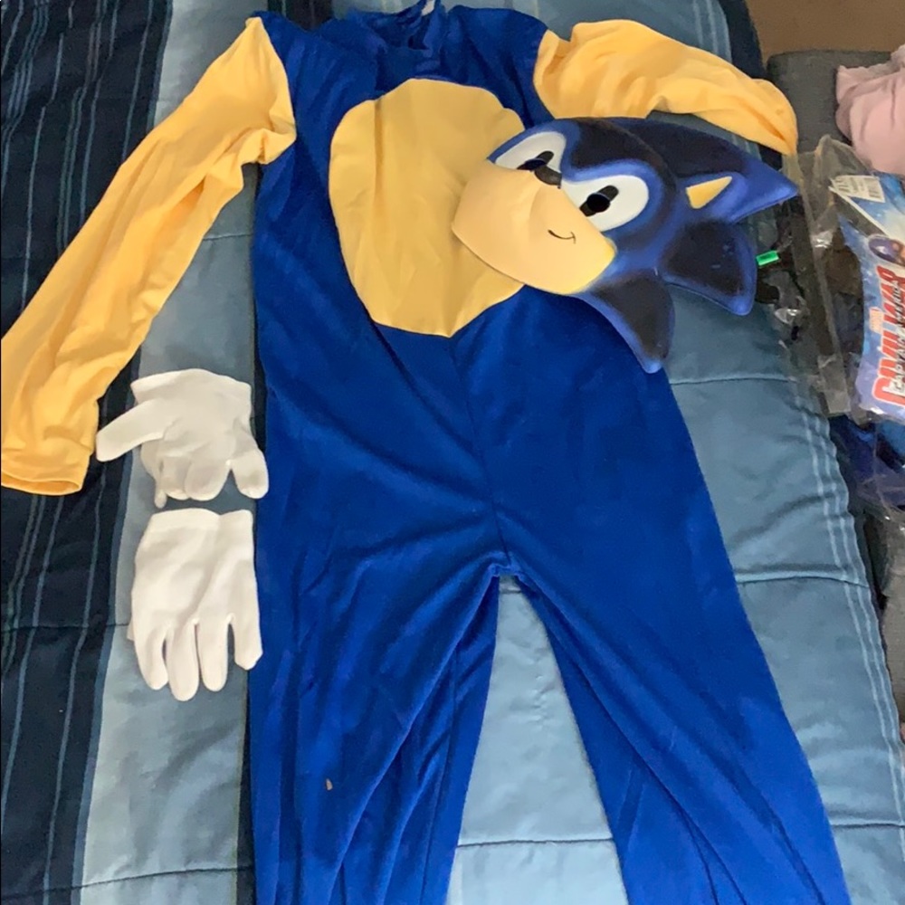 Sonic costume